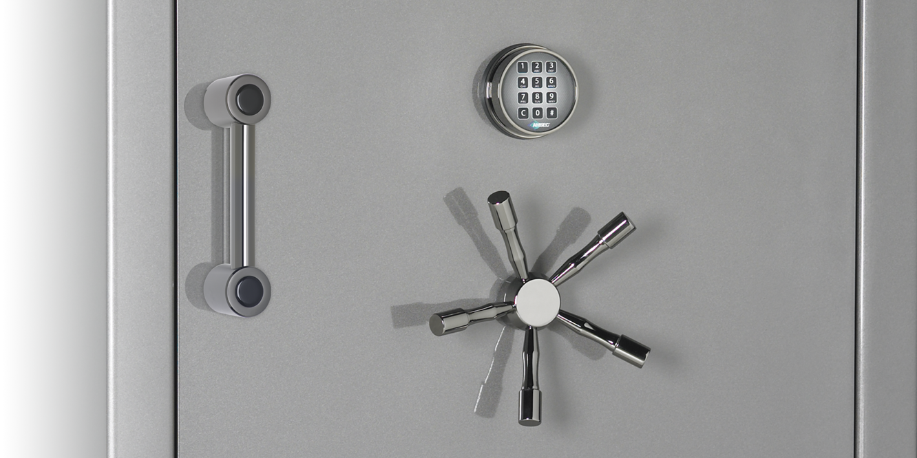 Safe Vault Safe and Vault Services
